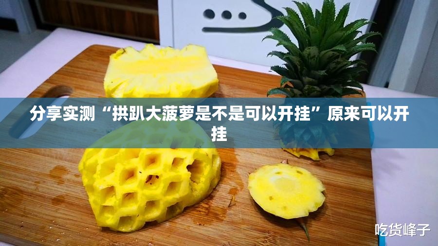 分享实测“拱趴大菠萝是不是可以开挂”原来可以开挂