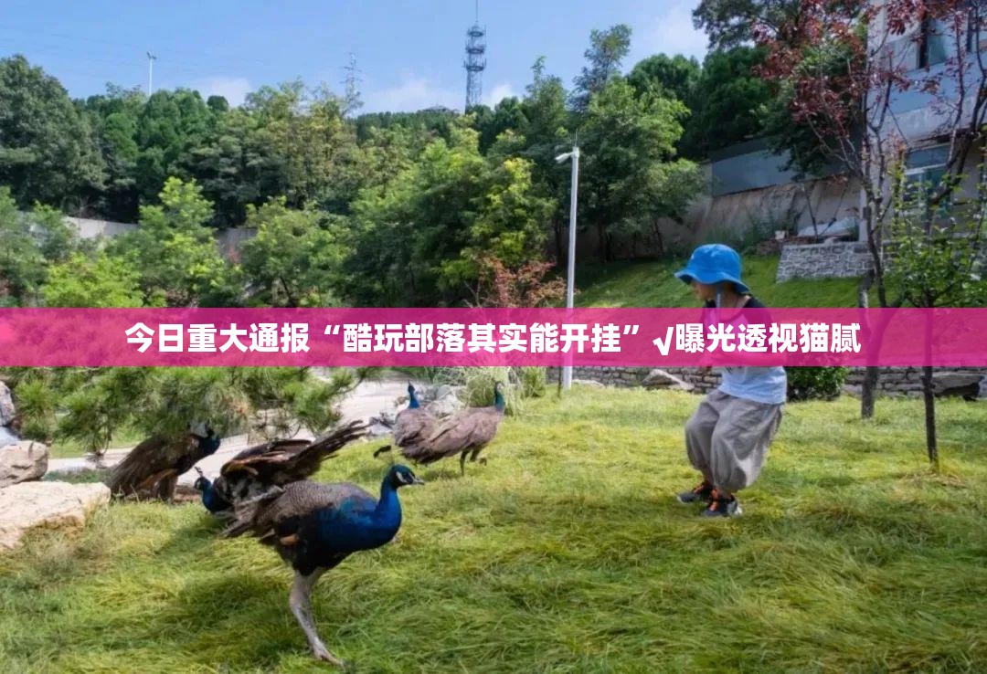 推荐一款大懒人娱乐斗十四确实有挂吗其实确实有挂