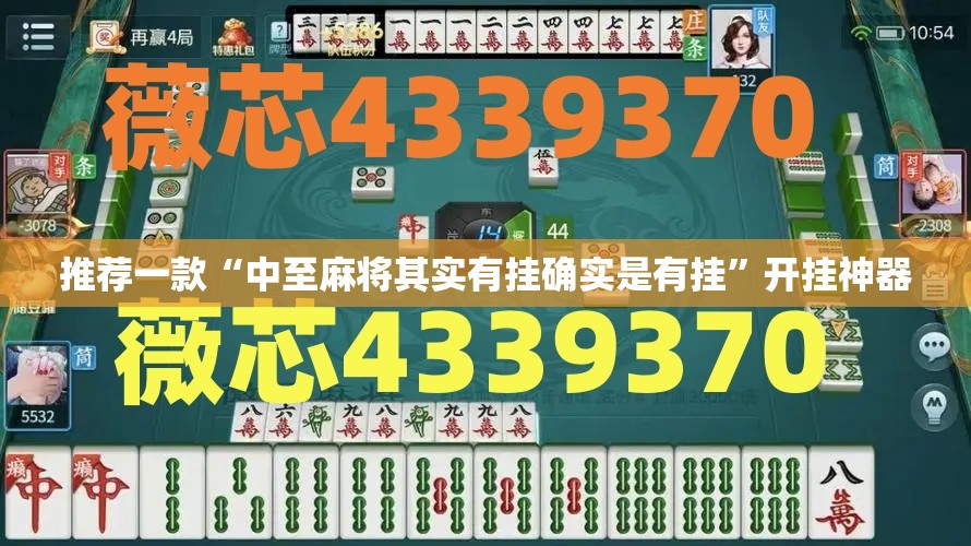 推荐一款“中至麻将其实有挂确实是有挂”开挂神器