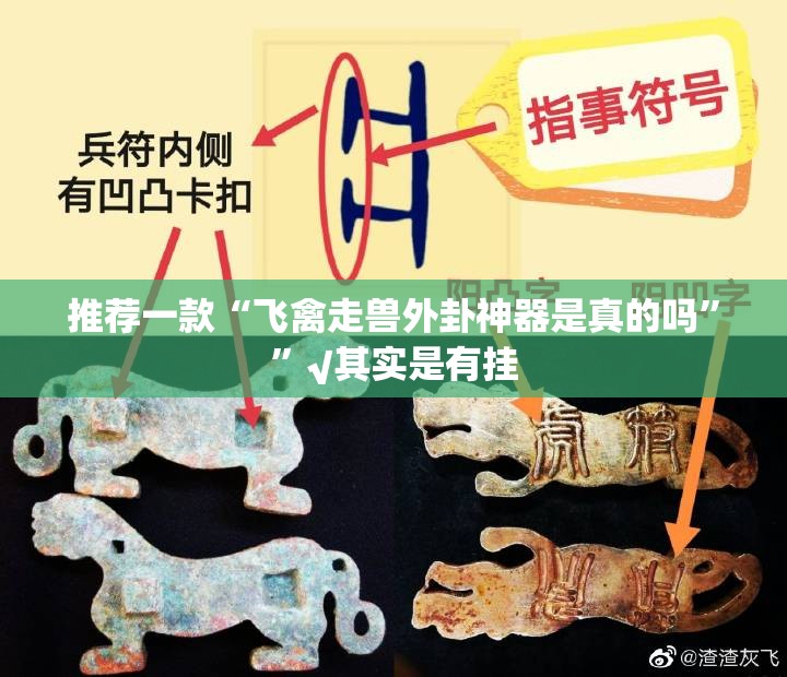 推荐一款“飞禽走兽外卦神器是真的吗””√其实是有挂
