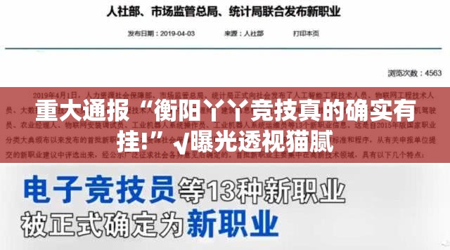 重大通报“衡阳丫丫竞技真的确实有挂!”√曝光透视猫腻