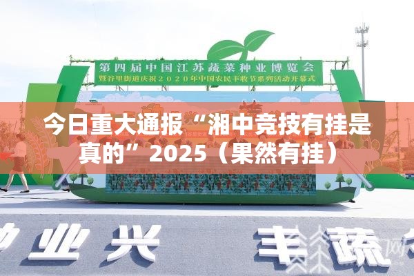 今日重大通报“湘中竞技有挂是真的”2025（果然有挂）