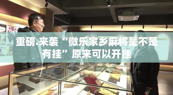 重磅.来袭“微乐家乡麻将是不是有挂”原来可以开挂