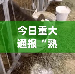 重磅.来袭开心玩怎么开挂呢开挂神器