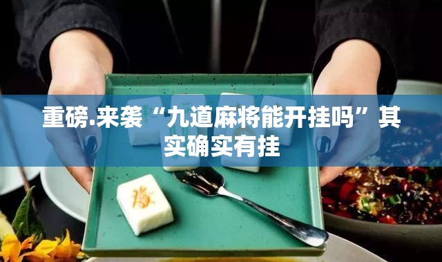 重磅.来袭“九道麻将能开挂吗”其实确实有挂