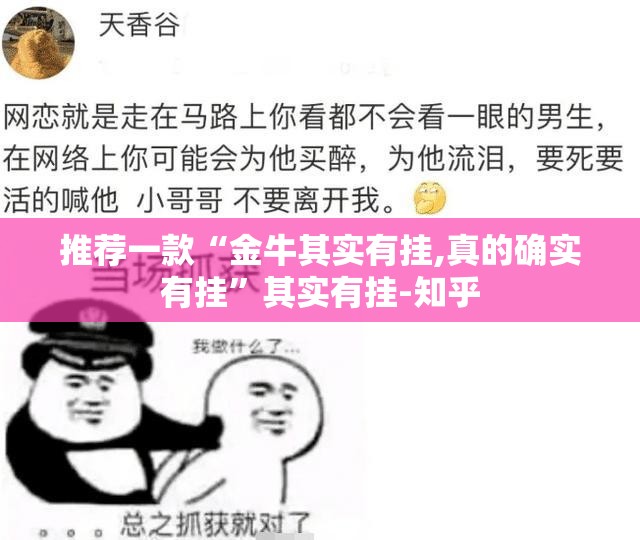 推荐一款“金牛其实有挂,真的确实有挂”其实有挂-知乎