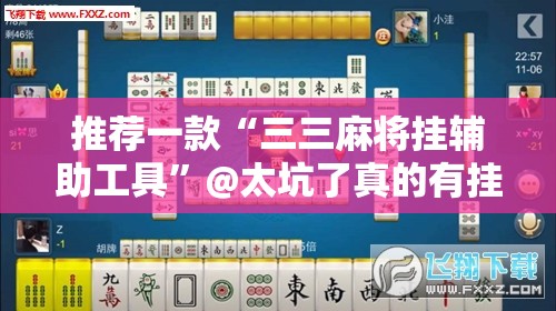 推荐一款“三三麻将挂辅助工具”@太坑了真的有挂