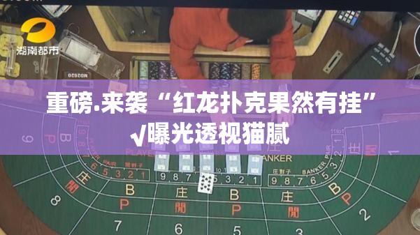 重磅.来袭比鸡助赢神器2025(果然有挂) 重磅.来袭比鸡助赢神器2025(果然有挂)
