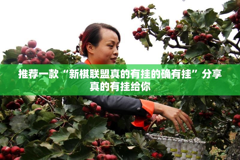 推荐一款“新棋联盟真的有挂的确有挂”分享真的有挂给你