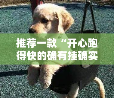 推荐一款“开心跑得快的确有挂确实有挂”分享真的有挂给你
