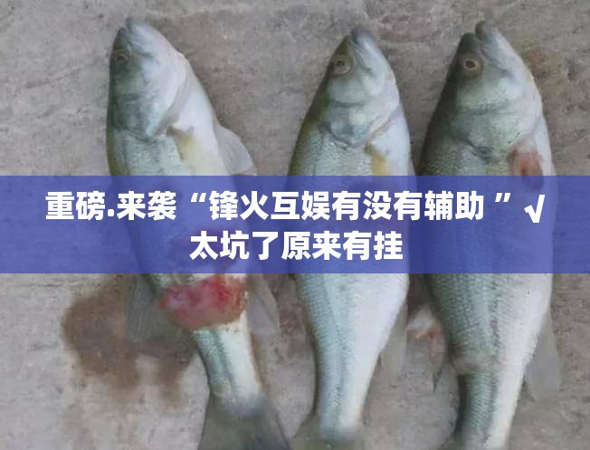重磅.来袭“锋火互娱有没有辅助 ”√太坑了原来有挂