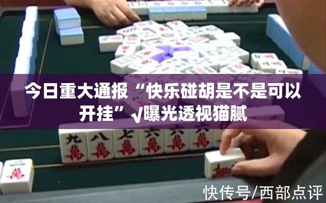 今日重大通报“快乐碰胡是不是可以开挂”√曝光透视猫腻