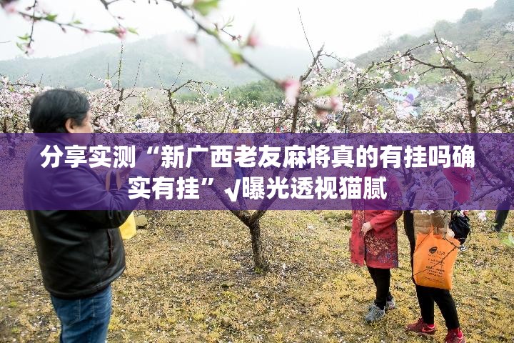 分享实测“新广西老友麻将真的有挂吗确实有挂”√曝光透视猫腻