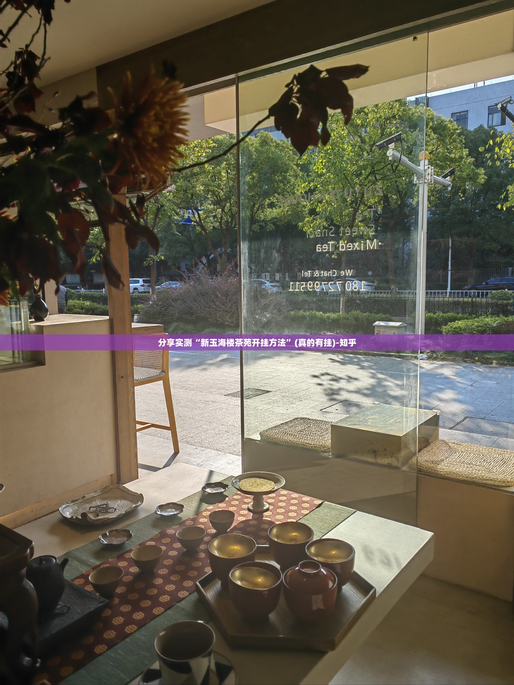 推荐一款新灵心真的可以开挂真的有挂确实真的有挂