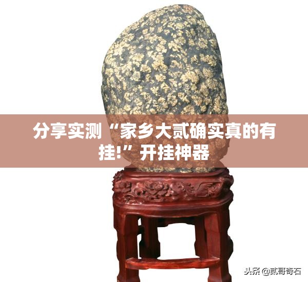 分享实测“家乡大贰确实真的有挂!”开挂神器