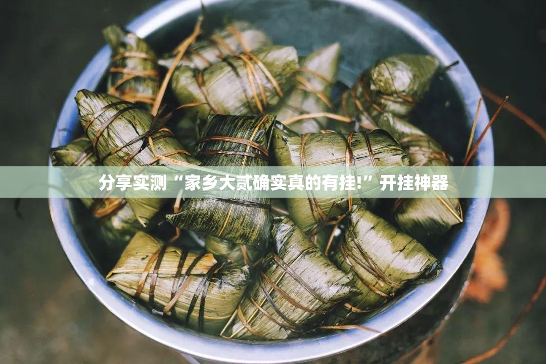 分享实测“家乡大贰确实真的有挂!”开挂神器