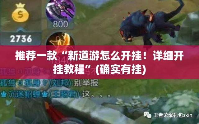 推荐一款“新道游怎么开挂！详细开挂教程”(确实有挂)