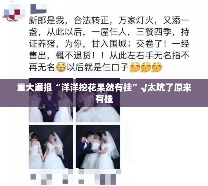 重大通报“洋洋挖花果然有挂”√太坑了原来有挂