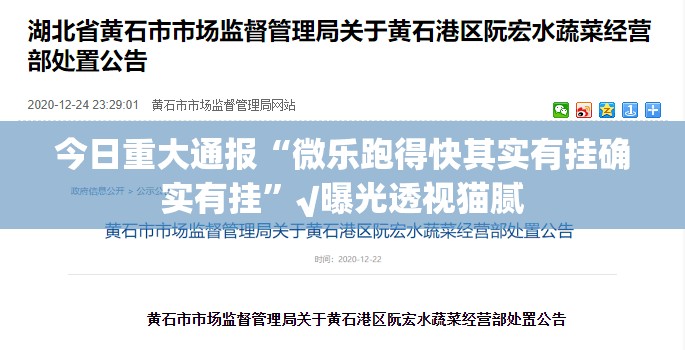 今日重大通报“微乐跑得快其实有挂确实有挂”√曝光透视猫腻