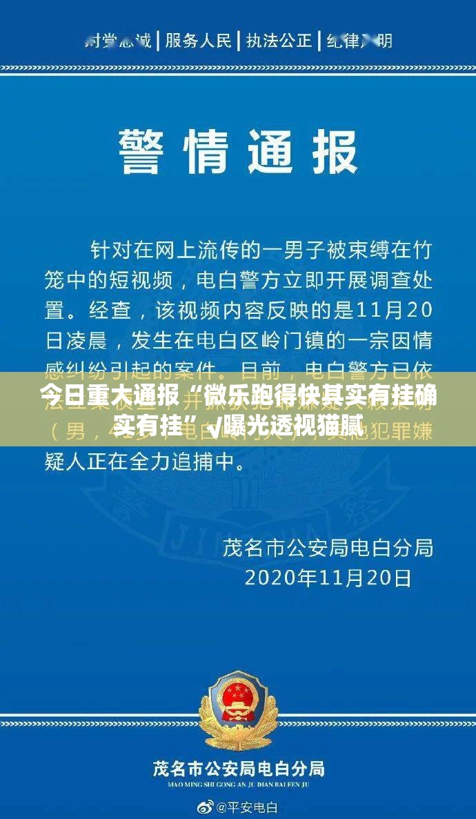 今日重大通报“微乐跑得快其实有挂确实有挂”√曝光透视猫腻