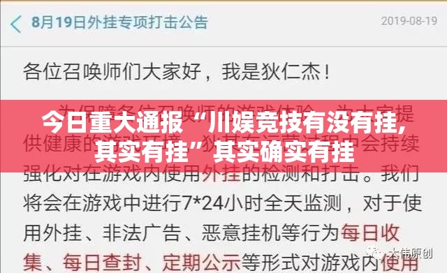 今日重大通报“川娱竞技有没有挂,其实有挂”其实确实有挂
