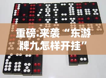 重磅.来袭“东游牌九怎样开挂”原来可以开挂