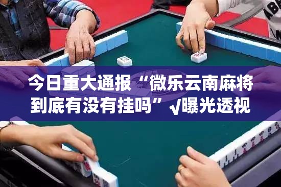 今日重大通报“微乐云南麻将到底有没有挂吗”√曝光透视猫腻
