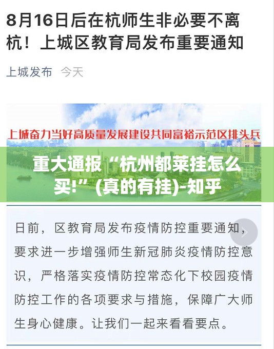 重大通报“杭州都莱挂怎么买!”(真的有挂)-知乎
