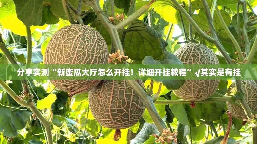 分享实测“新蜜瓜大厅怎么开挂！详细开挂教程”√其实是有挂