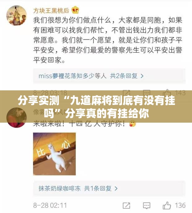 分享实测“九道麻将到底有没有挂吗”分享真的有挂给你