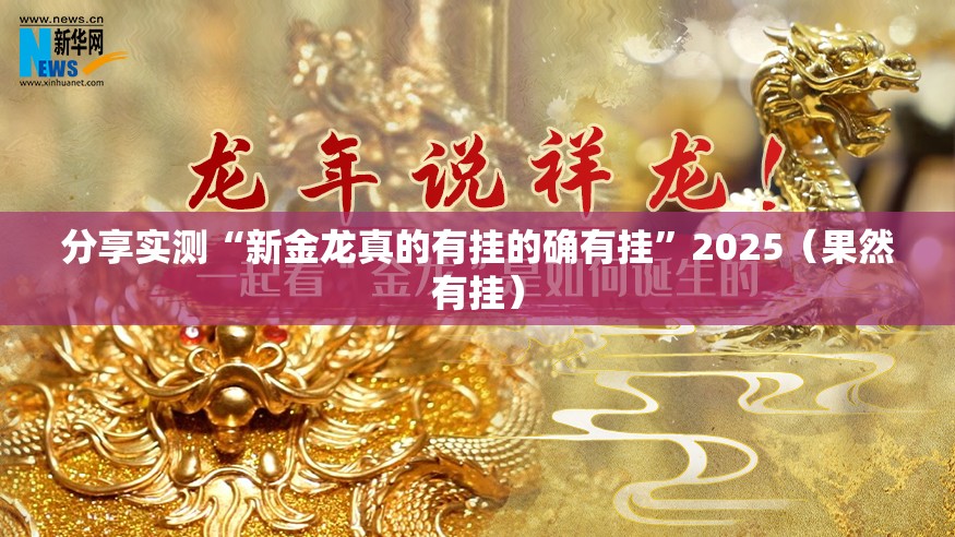 分享实测“新金龙真的有挂的确有挂”2025（果然有挂）