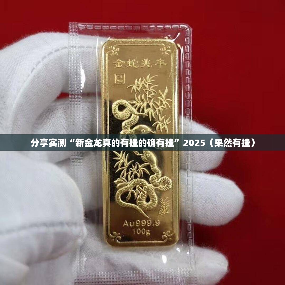 分享实测“新金龙真的有挂的确有挂”2025（果然有挂）