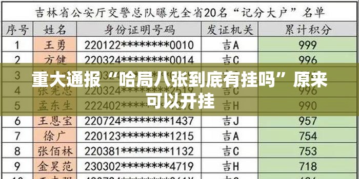 重大通报“哈局八张到底有挂吗”原来可以开挂