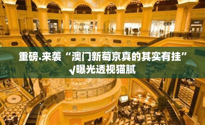 重磅.来袭“澳门新萄京真的其实有挂”√曝光透视猫腻