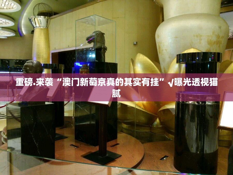重磅.来袭“澳门新萄京真的其实有挂”√曝光透视猫腻