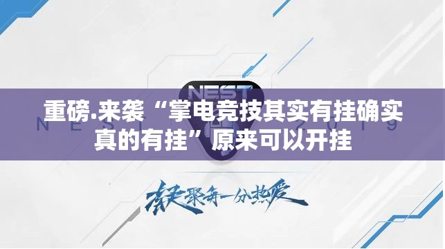 重磅.来袭“掌电竞技其实有挂确实真的有挂”原来可以开挂