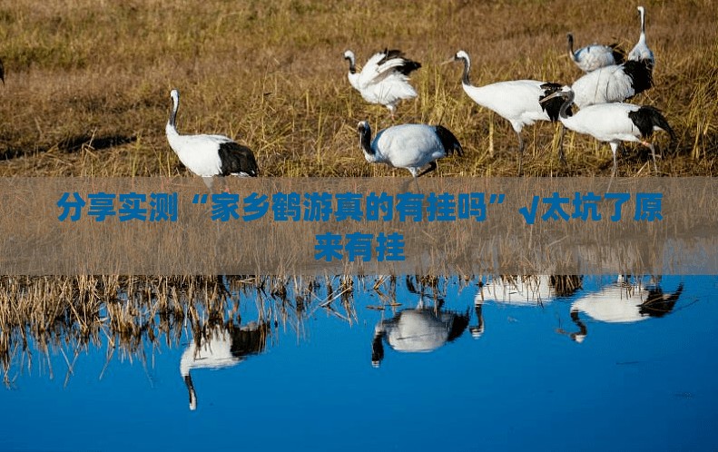 分享实测“家乡鹤游真的有挂吗”√太坑了原来有挂