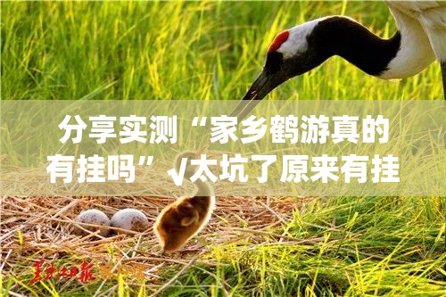 分享实测“家乡鹤游真的有挂吗”√太坑了原来有挂