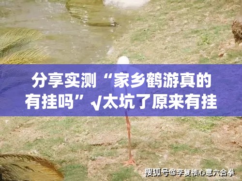 分享实测“家乡鹤游真的有挂吗”√太坑了原来有挂
