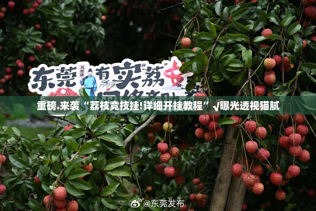 重磅.来袭“荔枝竞技挂!详细开挂教程”√曝光透视猫腻