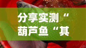 分享实测“葫芦鱼“其实有挂”确实有挂”(确实有挂)