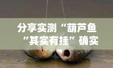 分享实测河洛杠次真的确实有挂其实真的确实有挂