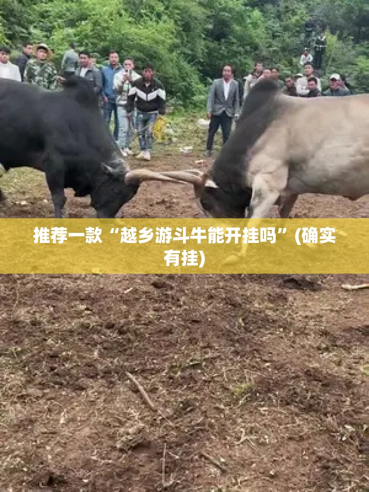 推荐一款“越乡游斗牛能开挂吗”(确实有挂)