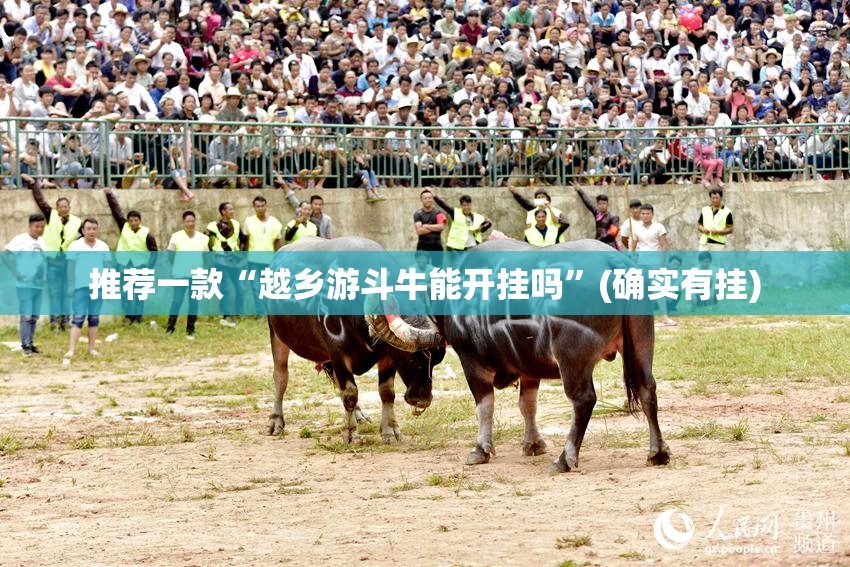 推荐一款“越乡游斗牛能开挂吗”(确实有挂)