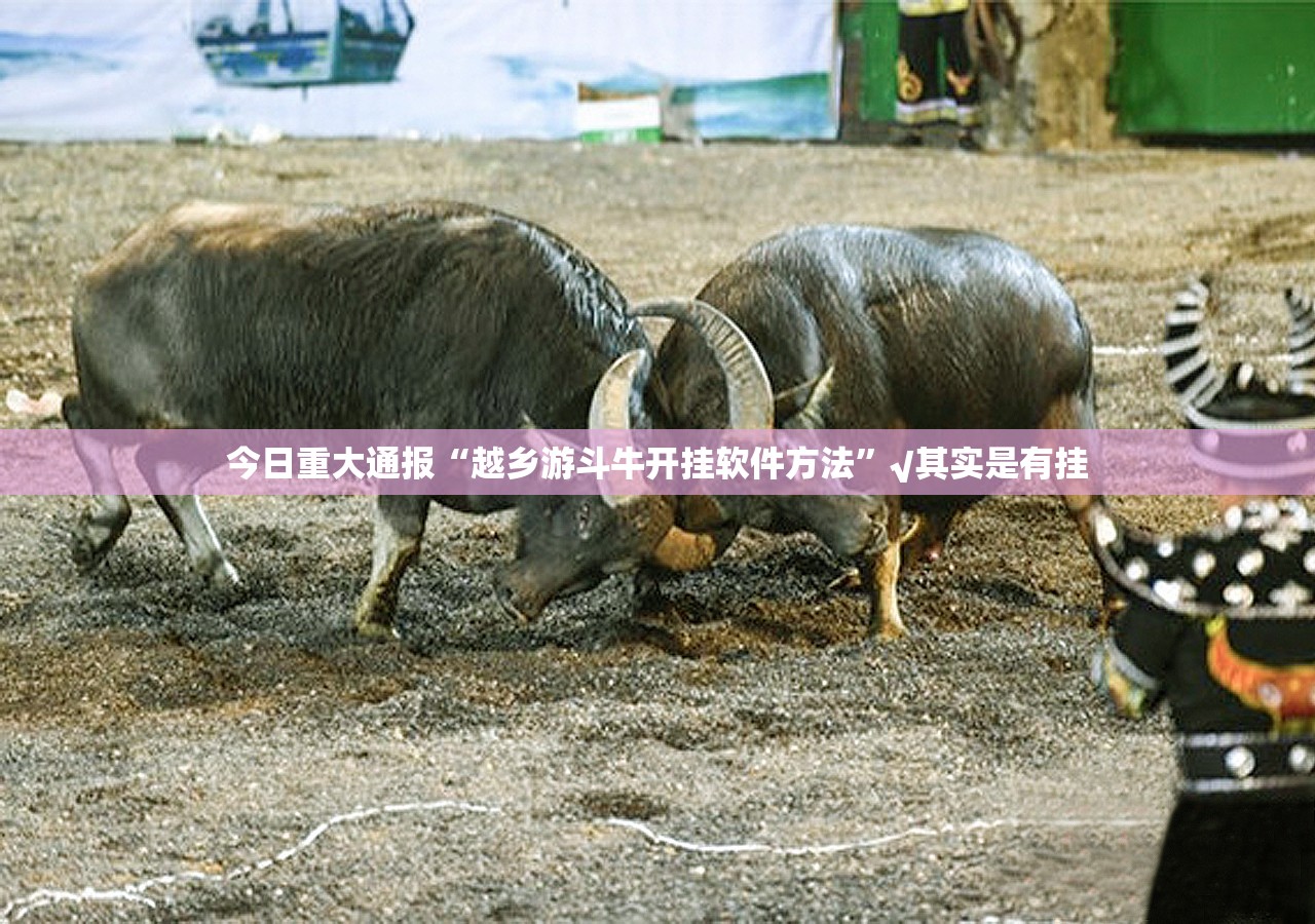 今日重大通报“越乡游斗牛开挂软件方法”√其实是有挂