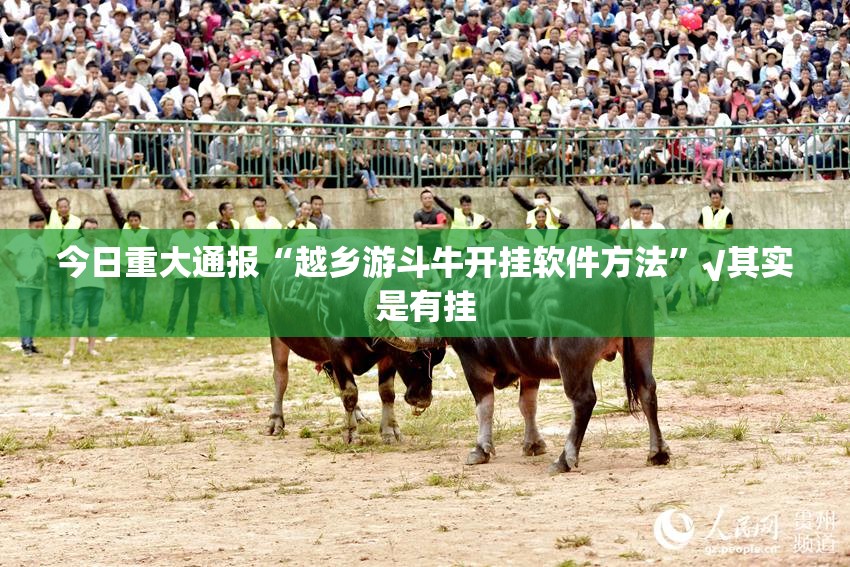 今日重大通报“越乡游斗牛开挂软件方法”√其实是有挂