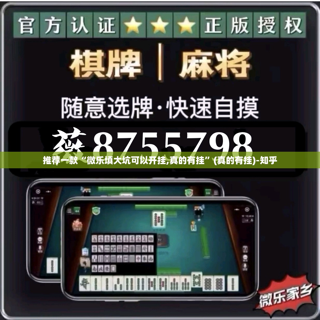 推荐一款“微乐填大坑可以开挂,真的有挂”(真的有挂)-知乎
