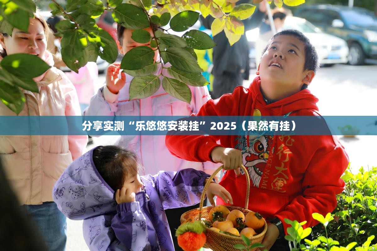 分享实测“乐悠悠安装挂”2025（果然有挂）