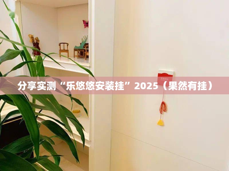分享实测“乐悠悠安装挂”2025（果然有挂）