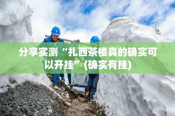 分享实测“扎西茶楼真的确实可以开挂”(确实有挂)
